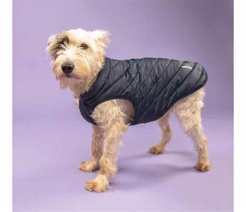 Digby and Fox Padded Dog Rug Coat - Navy 